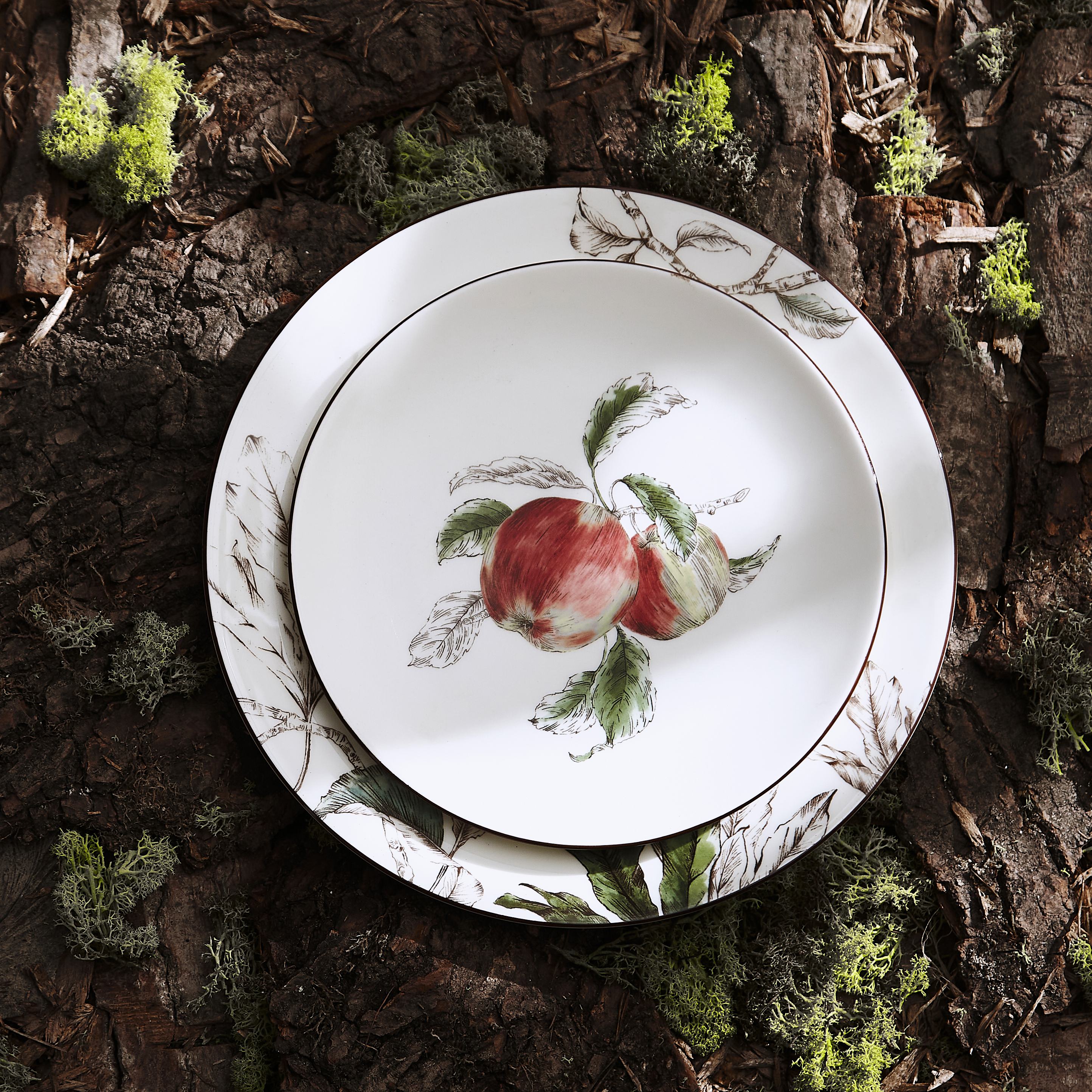 Nature's Bounty 4 Piece Place Setting (Apple) image number null